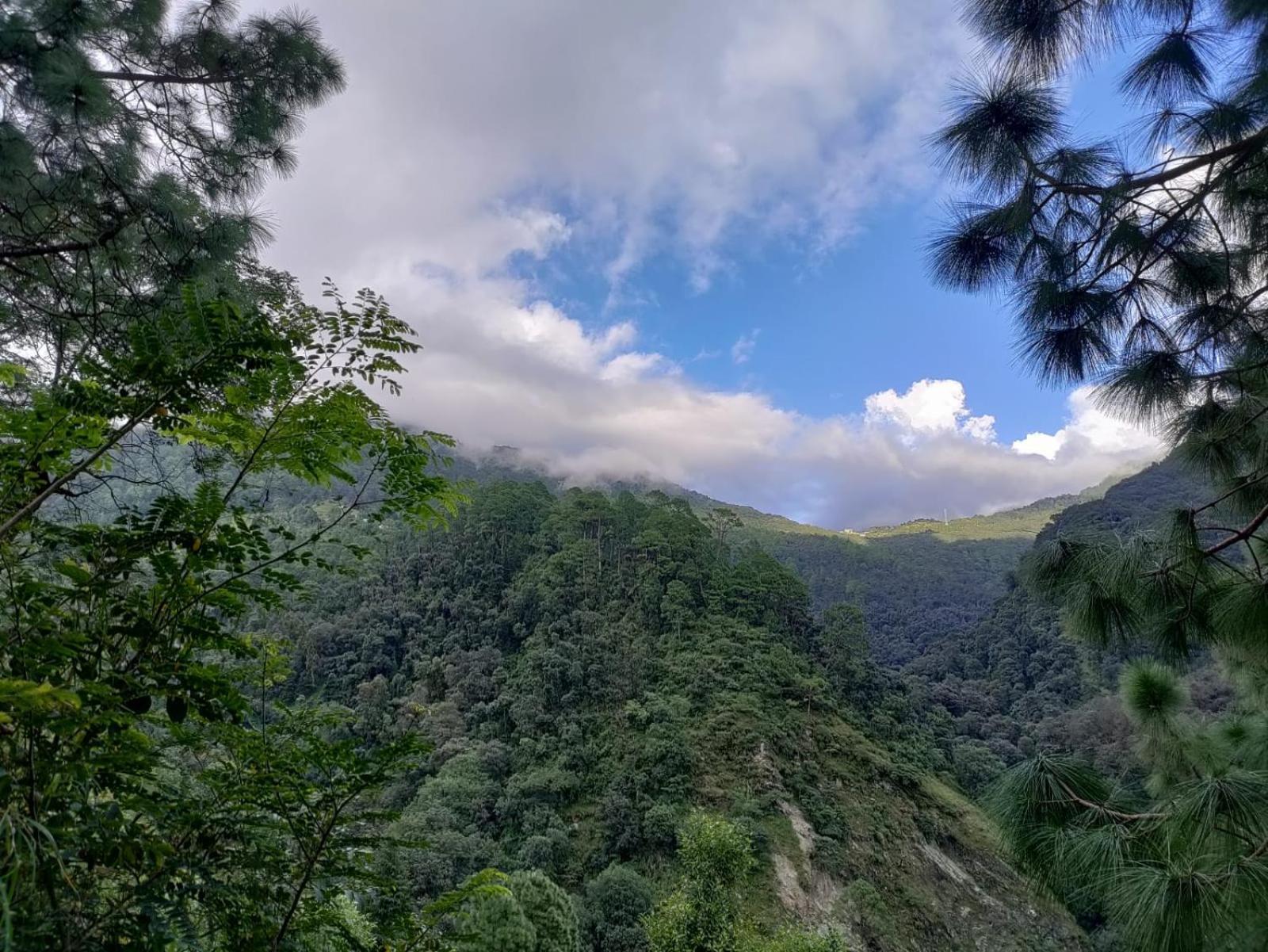 Luxury tent Valley View Camps &cottages Nature Heights Nainital
